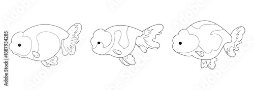 Lionhead Goldfish Vector Line Art with Various, Isolated Background