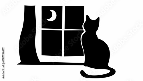 Curious cat looking out window at night moonlight