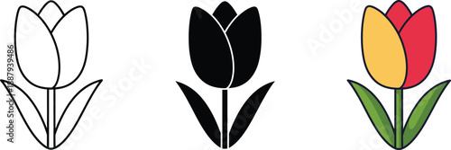 Three distinct styles of tulip flower illustrations: outline, solid black, and vibrant colored design isolated on white background, Vector
