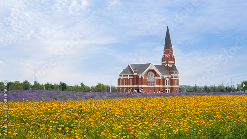 Sticker A church in the golden rooster flower sea