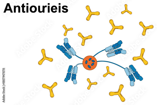 A detailed illustration of an immune response showing specific antibodies binding to antigens, demonstrating the body's defense mechanism against foreign invaders at a molecular level