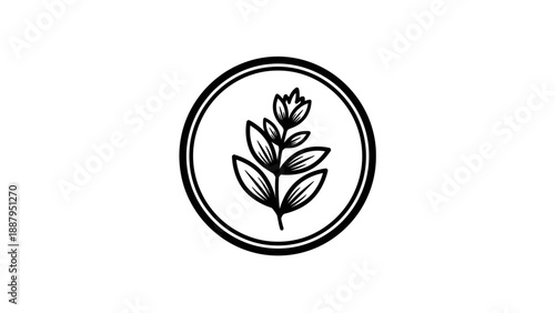 Young Plant Sprout in Circular Frame on Isolated White Background