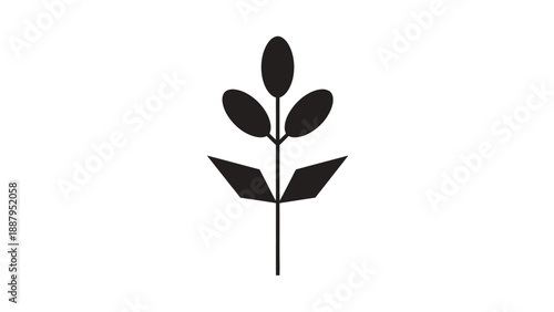 Simple Black Silhouette of a Plant Branch with Leaves on an Isolated White Background