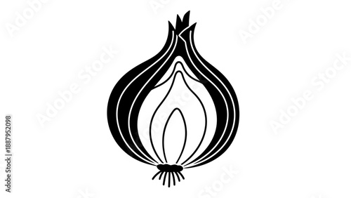 Detailed Cross Section of a Fresh Onion Vegetable on Isolated White Background