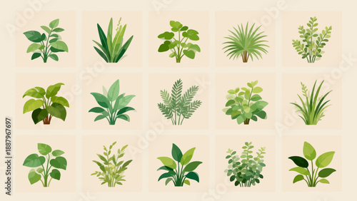 Illustrated collection of various plants