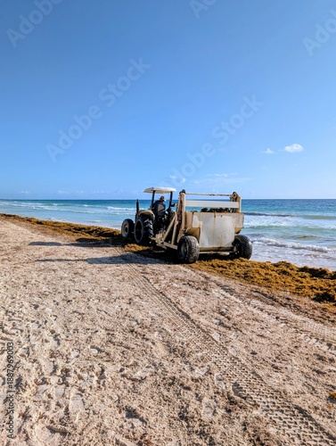 Sargassum harvesting on the beach in Tulum, Quintana Roo, Mexico - January 2026