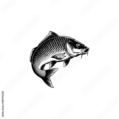 A bold black and white vector illustration of a carp fish jumping. The design features a curved, dynamic pose with detailed scales and long barbels on a white background.