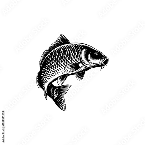 A bold black and white vector illustration of a carp fish jumping. The design features a curved, dynamic pose with detailed scales and long barbels on a white background.