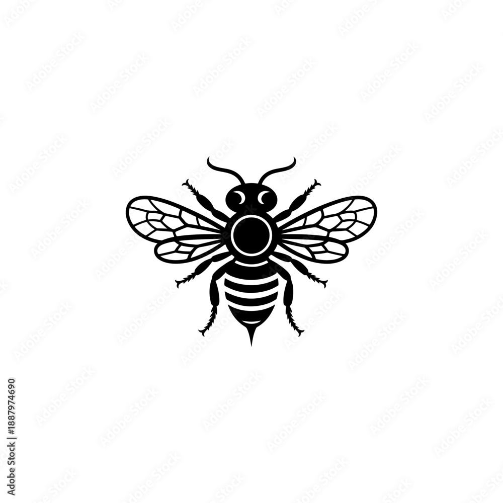 Obraz premium A symmetrical black and white vector illustration of a honey bee. The graphic features clean lines, detailed wings, and a striped abdomen in a minimalist style.