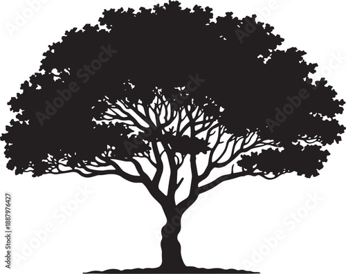 Majestic oak tree silhouette with a wide canopy and sprawling branches isolated on a white background for eco friendly landscaping design and natural environmental conservation projects