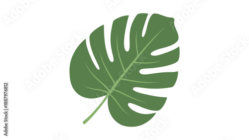 A vibrant simple illustrated graphic of a single exotic tropical Monstera Deliciosa leaf, featuring distinct deep green coloration and characteristic large fenestrations, perfect for elegant