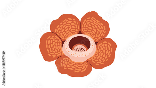 Detailed vector illustration of the enormous and extremely rare Rafflesia Arnoldii, the mysterious parasitic flower known for its gigantic size, distinctive texture, and famously strong odor