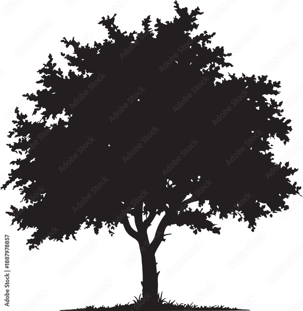 Obraz premium Collection of minimalist black tree silhouettes including pine spruce and deciduous leafy varieties isolated on white background for nature forest landscape logo graphic branding design