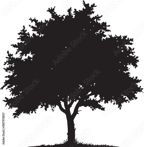 Collection of minimalist black tree silhouettes including pine spruce and deciduous leafy varieties isolated on white background for nature forest landscape logo graphic branding design