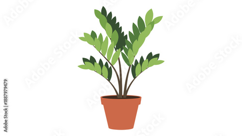Stylized illustration of a healthy green ZZ plant in a terracotta pot, isolated on a white background.