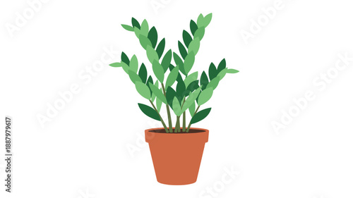 Potted Plant with Green Leaves in Terracotta Pot.