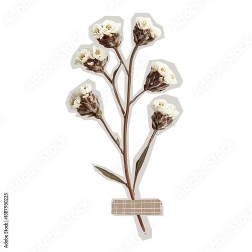 Dried flower collage taped retro sticker