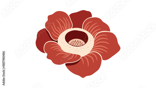 Red Poppy Flower Illustration Design Element.