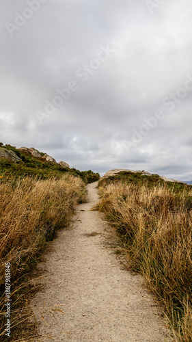 Dirt path through dry vegetation under cloudy sky