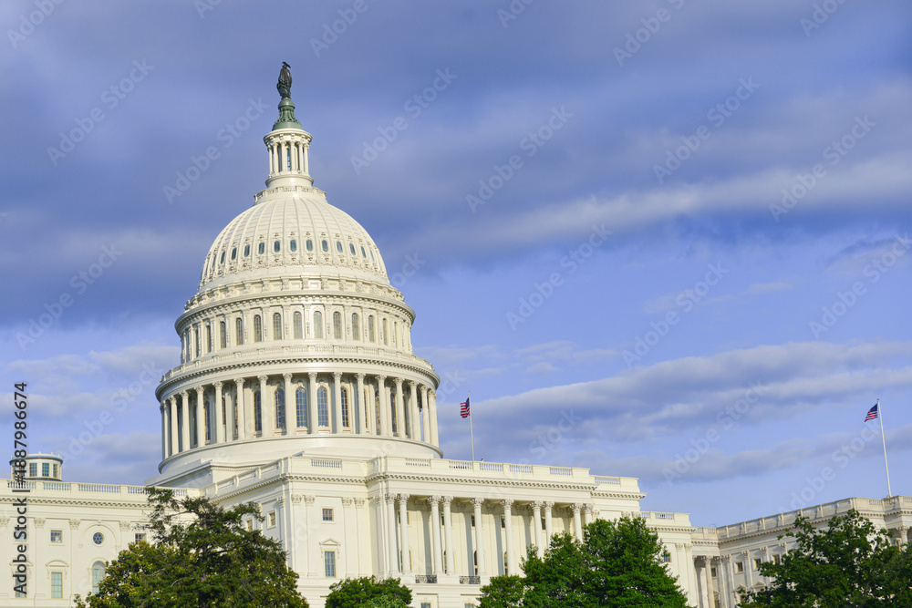 Obraz premium US Capitol Building - Washington, DC, United States