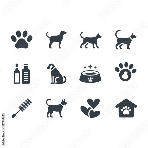 Domestic Pet Care and Veterinary Service Icons