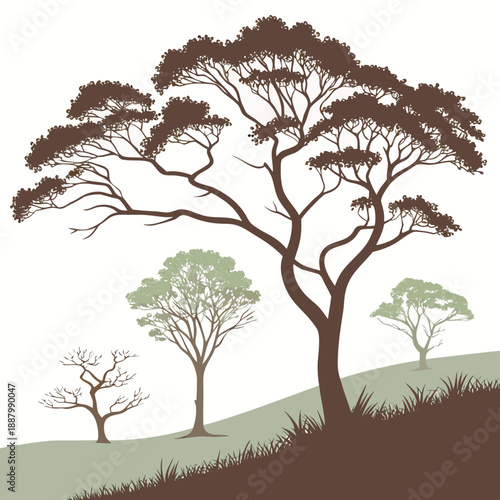 Silhouetted trees on a hill