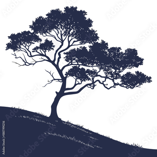 Lone tree on hillside