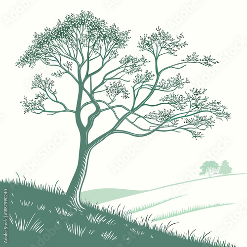 Lone tree in serene landscape