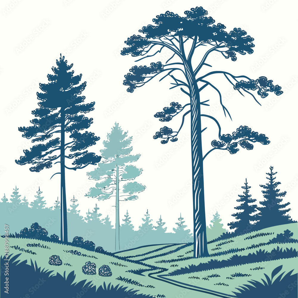 Obraz premium Forest silhouette with tall trees