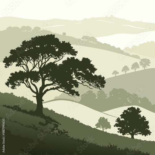 Serene countryside tree silhouette