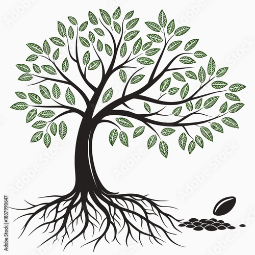 Illustration of a tree with roots and seeds
