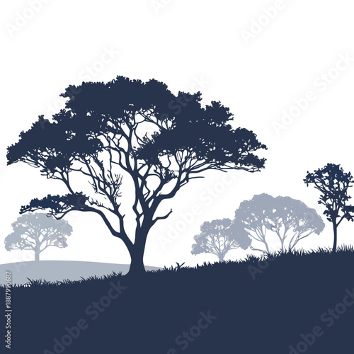 Silhouette of trees in a field