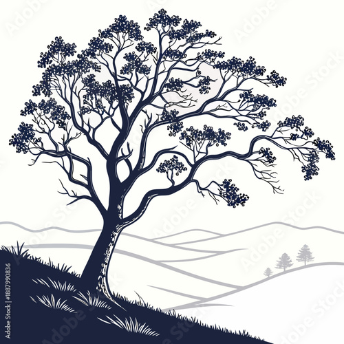 Lone tree on hillside