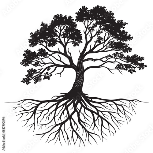 Silhouette of a tree with extensive roots