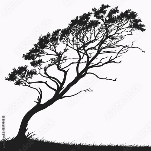 Wallpaper Mural Silhouetted tree in wind Torontodigital.ca