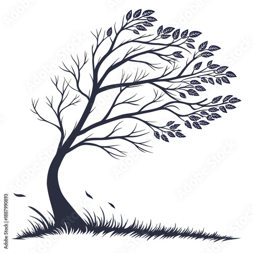 Graceful windblown tree