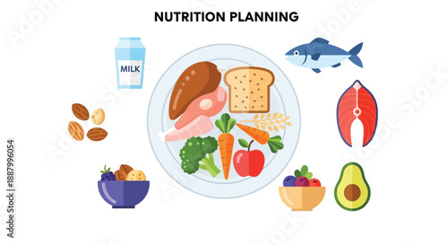 Visual representation of various balanced food groups essential for comprehensive nutrition planning illustration