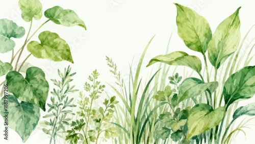 Watercolor painting of green plants