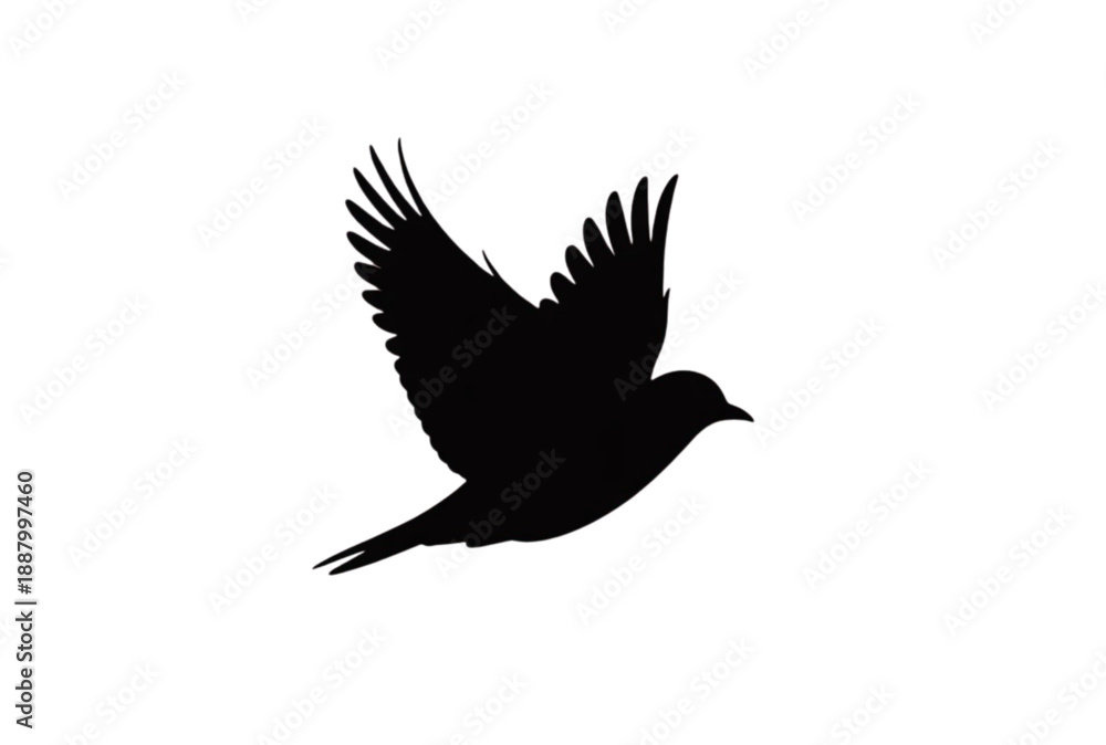 Obraz premium Black bird flying silhouette vector graphic