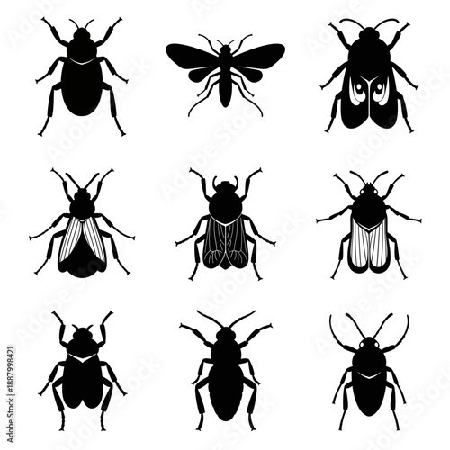 set of insects vector black and whit