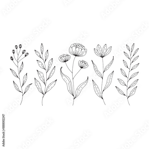 Five different types of black and white line flowers with leaves and stems botanical 1