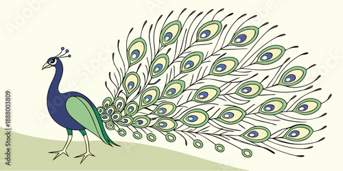 Peacock displaying its magnificent tail feathers