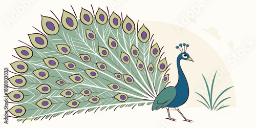 Peacock displaying its tail feathers