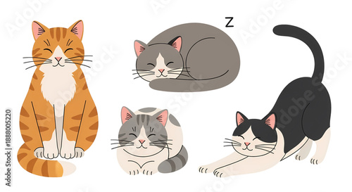 Three cartoon cats sleeping and playing.