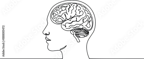 A clean and minimalistic continuous one line drawing of a human brain profile, vector illustration