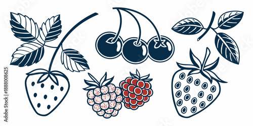 Assorted berries illustration
