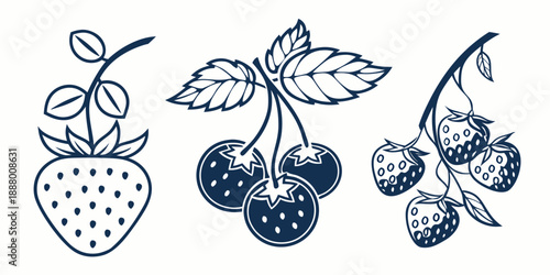 Illustrated strawberry plants and berries