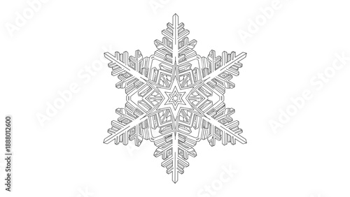 Intricate snowflake vector design shows complex geometric patterns and symmetrical crystal structures on a clean white backdrop.