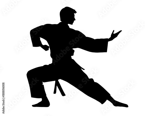 Karate silhouette, male karate player doing moves, vector illustration.
