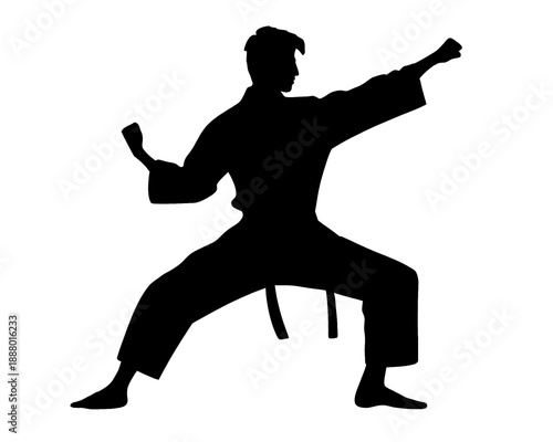 Karate silhouette, male karate player performing punching motion, vector illustration.
